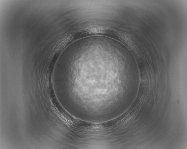 X0000059840402200510241443