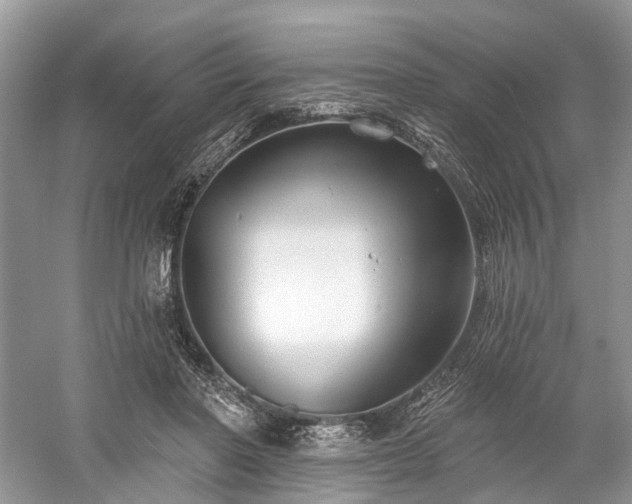 X0000059840406200510241443