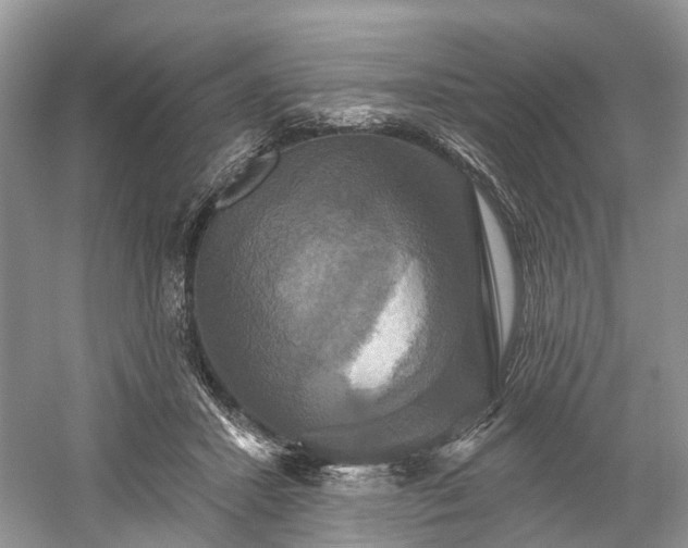 X0000059840407200510241443