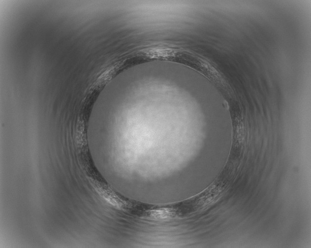 X0000059840411200510241443