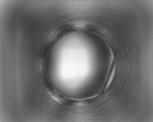X0000059840412200510241443