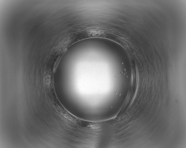 X0000059840417200510241442