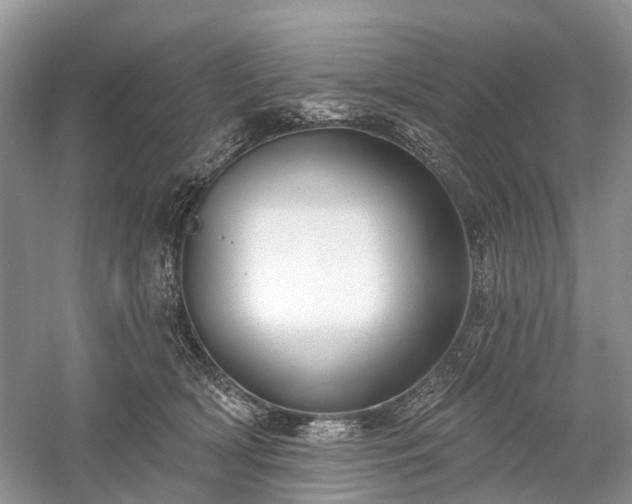 X0000059840418200510241442