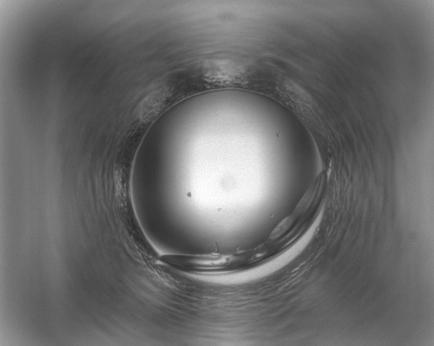 X0000059840420200510241442
