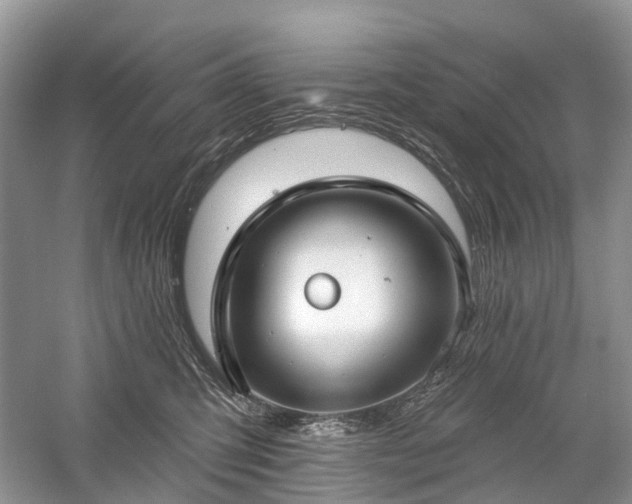 X0000059840423200510241442
