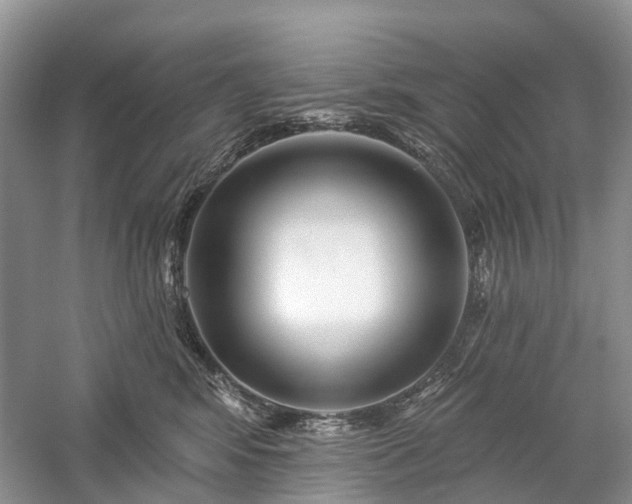 X0000059840424200510241442