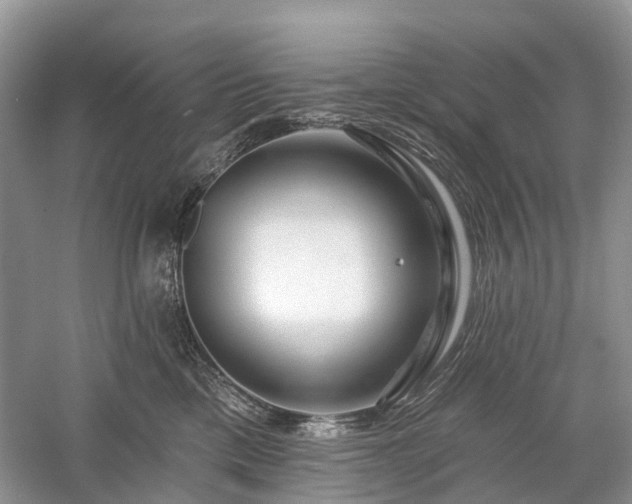 X0000059840425200510241442