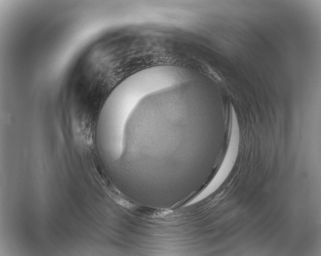 X0000059840431200510241442