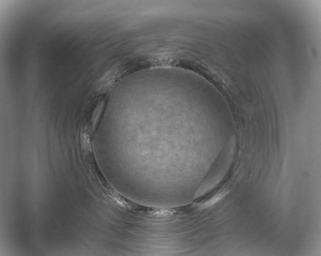 X0000059840432200510241442