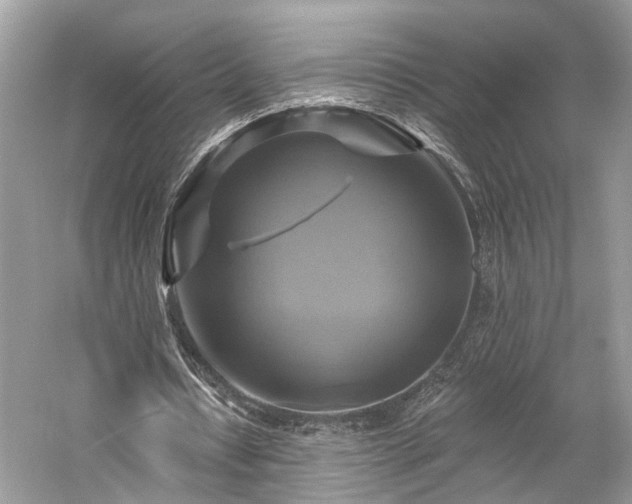 X0000059840434200510241441