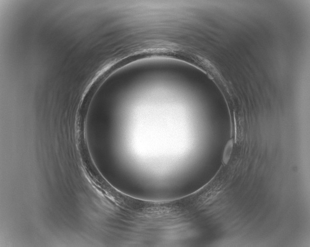 X0000059840435200510241441