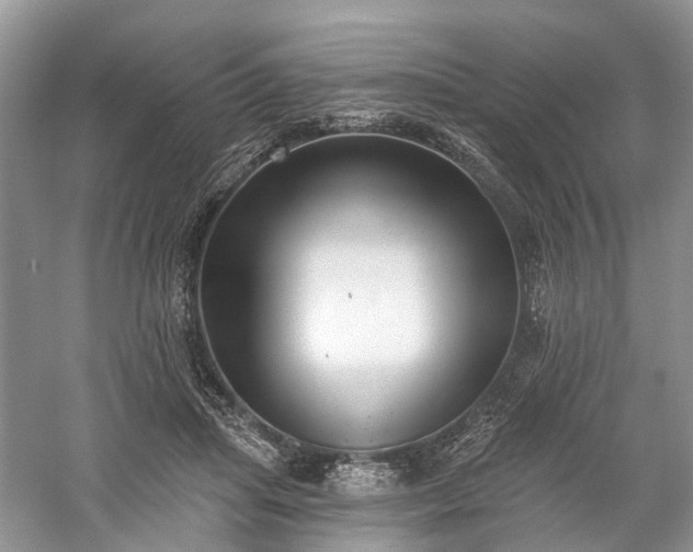 X0000059840455200510241442