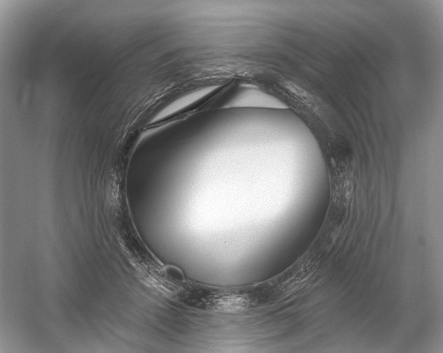X0000059840456200510241442