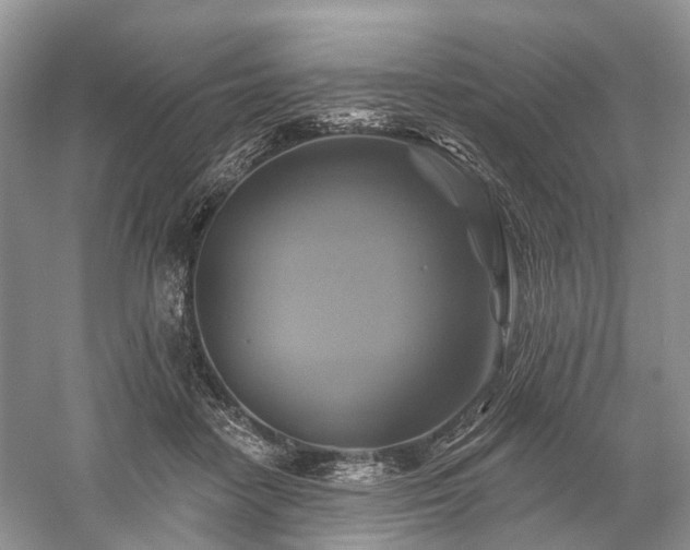 X0000059840458200510241442