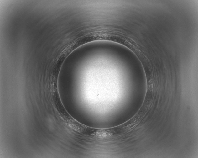 X0000059840464200510241442