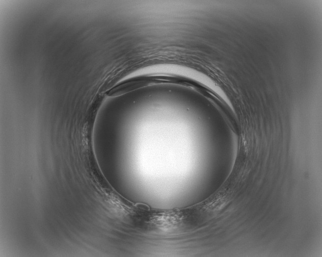 X0000059840466200510241442