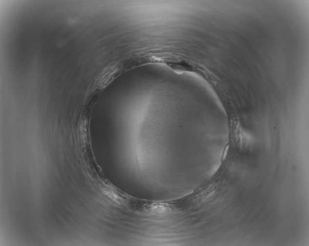 X0000059840475200510241442