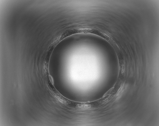 X0000059840476200510241442