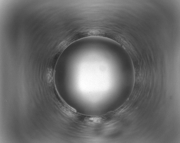 X0000059840478200510241442