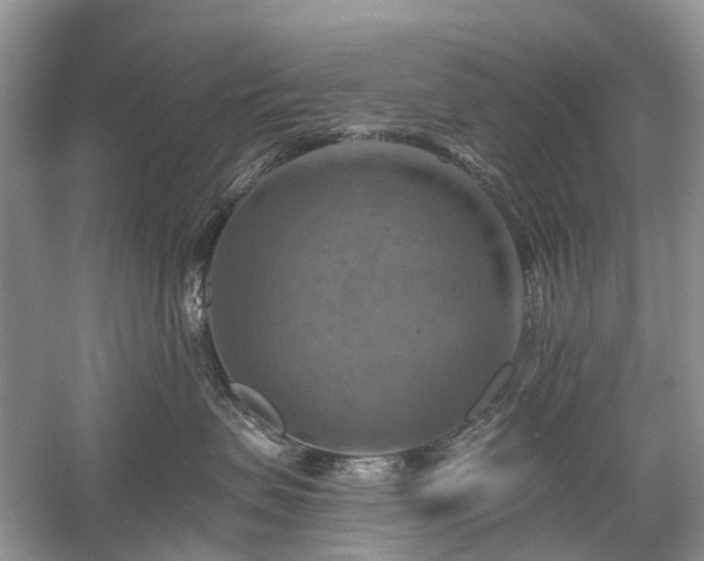 X0000059840479200510241442