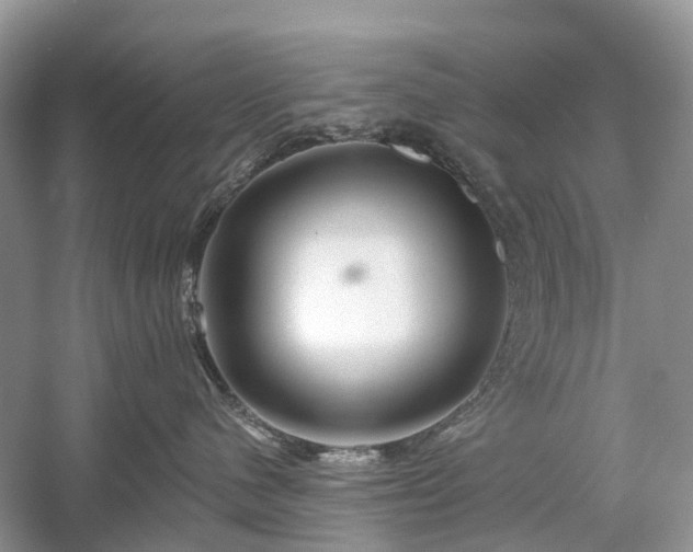 X0000059840480200510241442