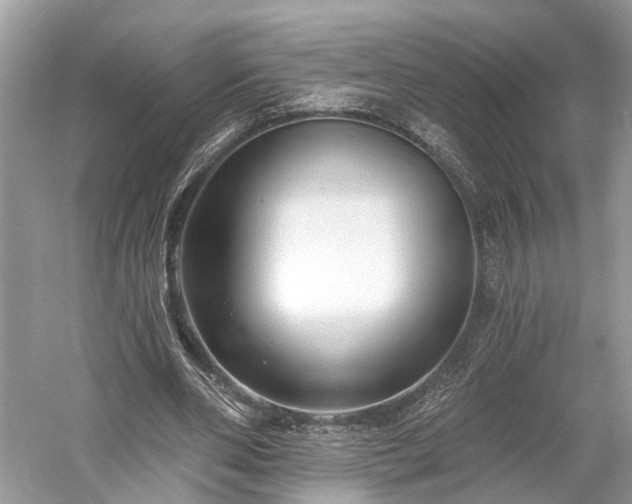 X0000059840486200510241441