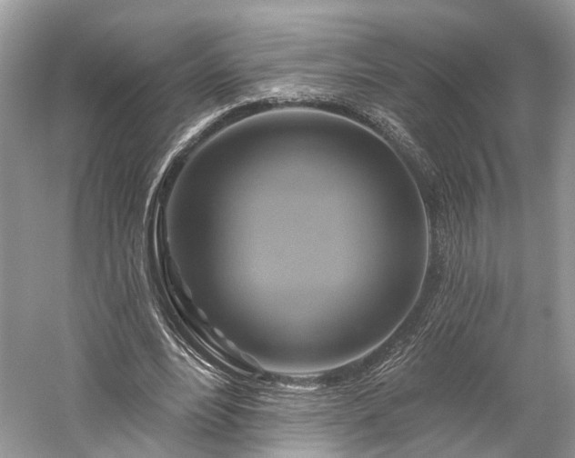 X0000059840488200510241441