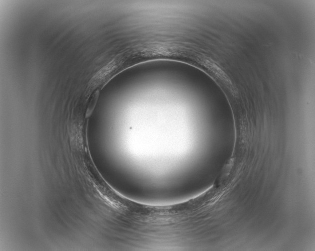 X0000059840489200510241441