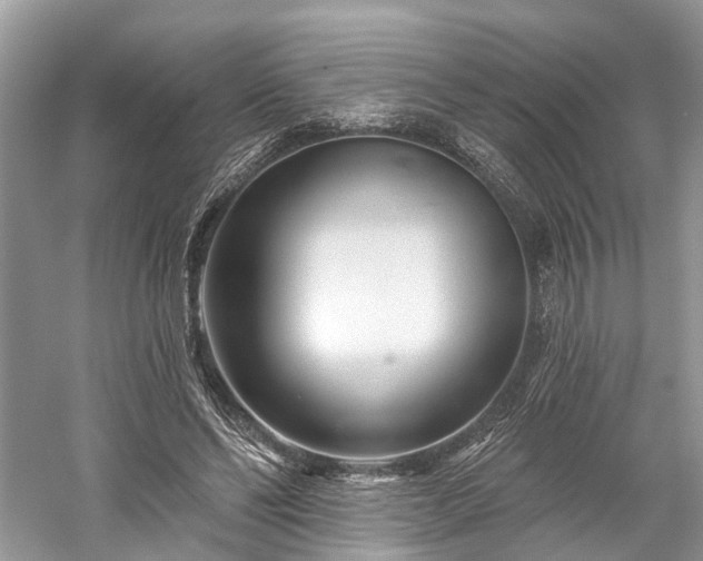 X0000059840494200510241441