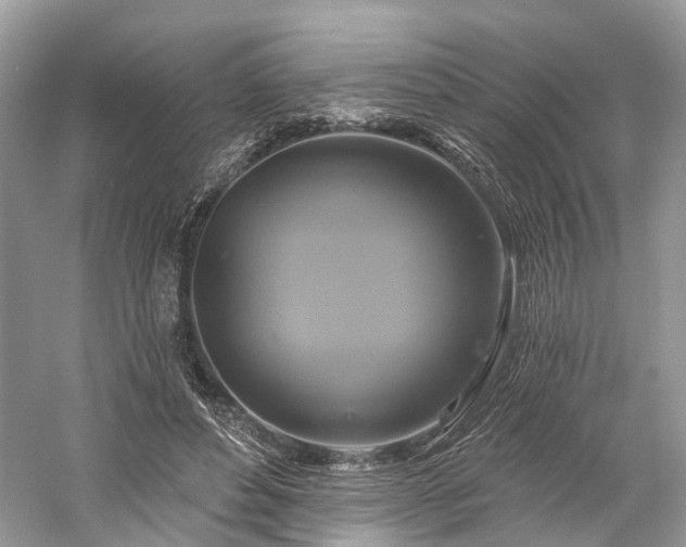 X0000059840496200510241441