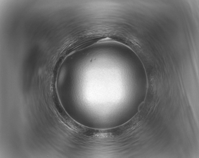 X0000059840499200510241441