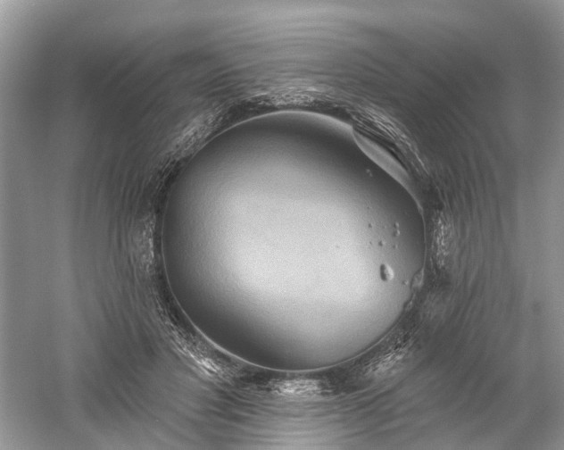 X0000059840501200510241441