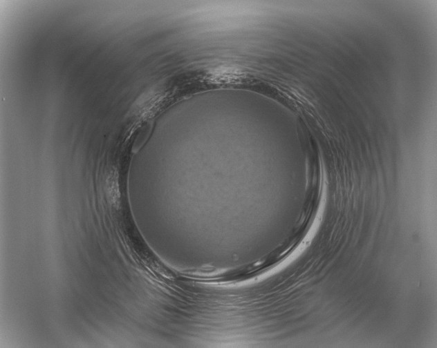 X0000059840508200510241441