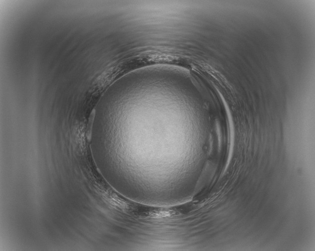 X0000059840513200510241441