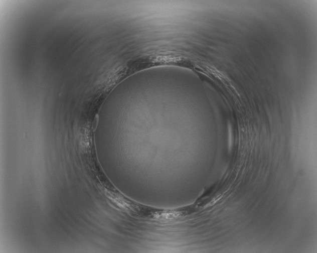X0000059840517200510241441