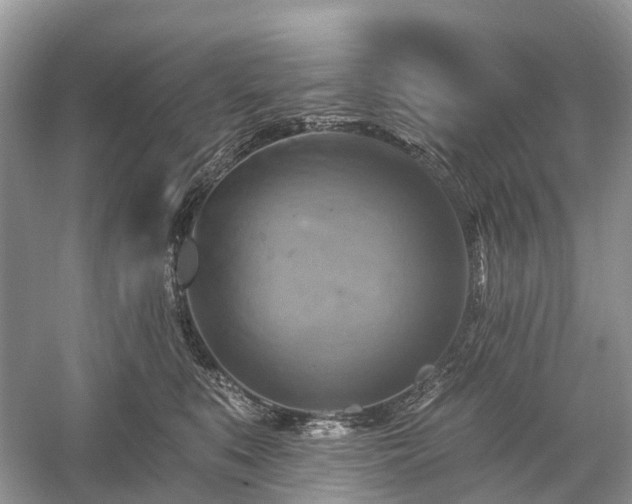 X0000059840519200510241441