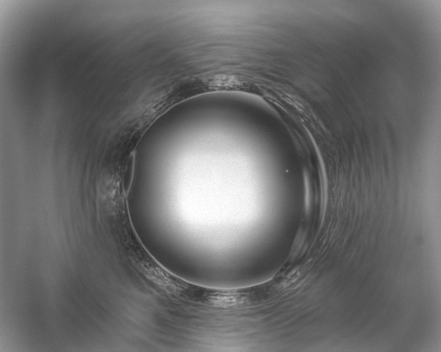 X0000059840521200510241441