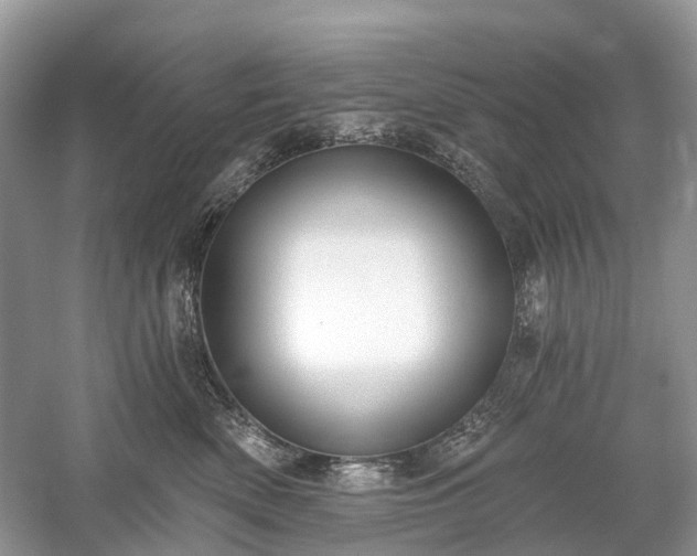 X0000059840522200510241441