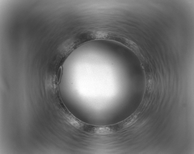 X0000059840525200510241441