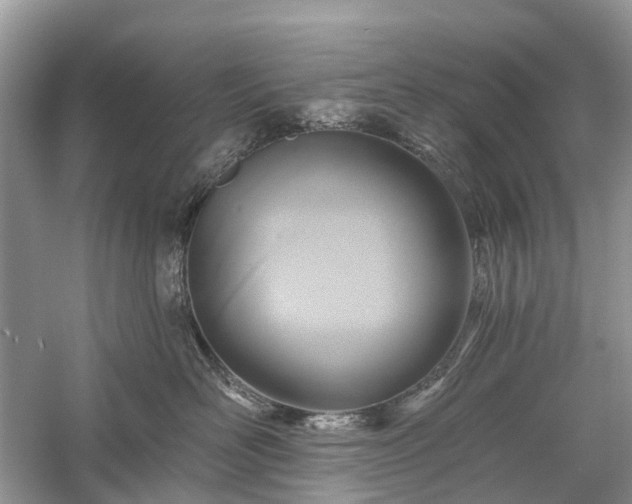 X0000059840526200510241441