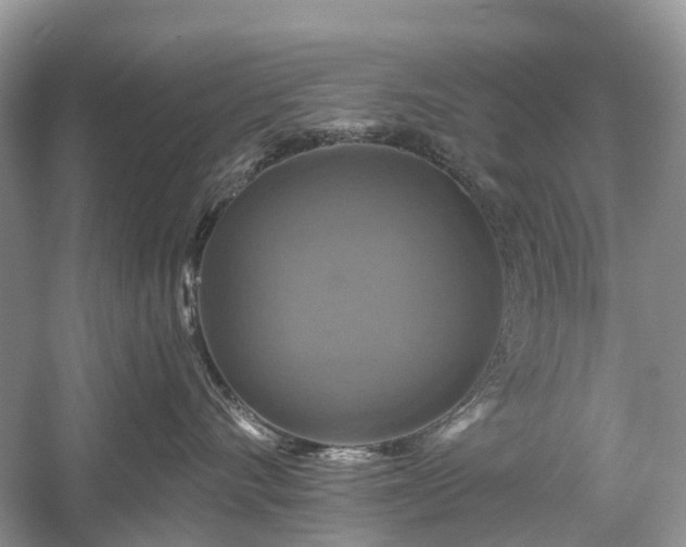 X0000059840528200510241441