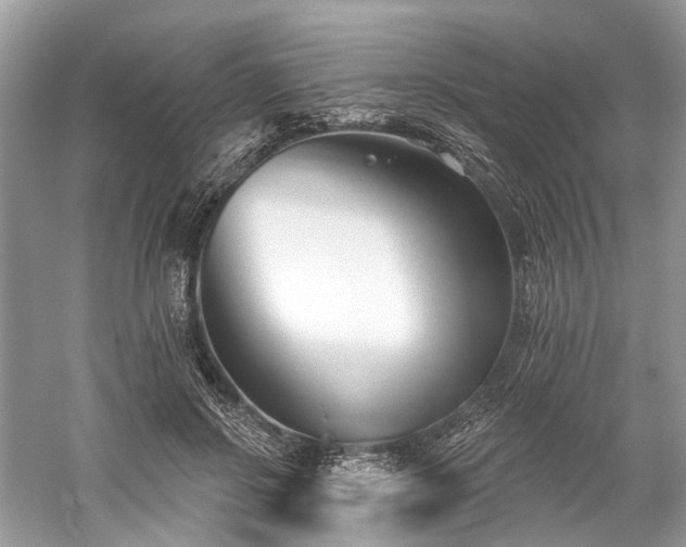 X0000059840550200510241440