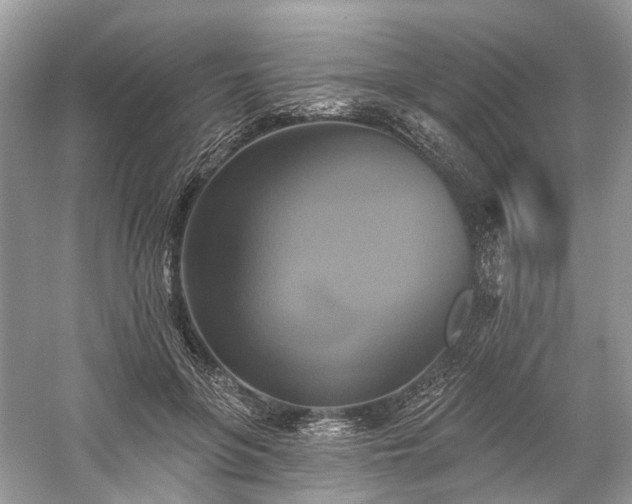 X0000059840551200510241440