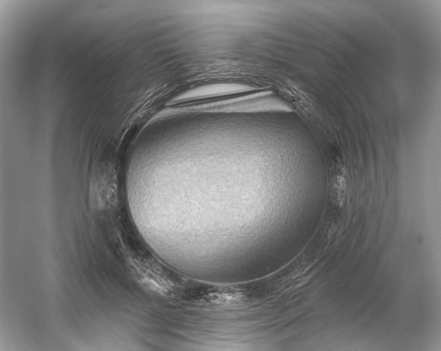 X0000059840552200510241440