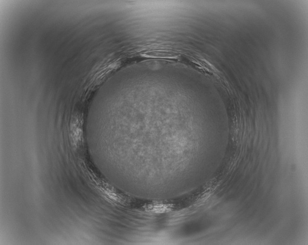 X0000059840553200510241440