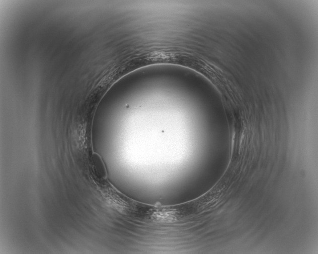 X0000059840560200510241440