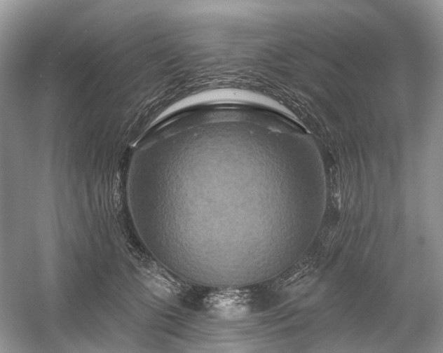 X0000059840563200510241440