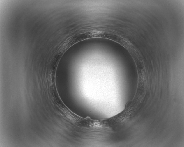 X0000059840565200510241440