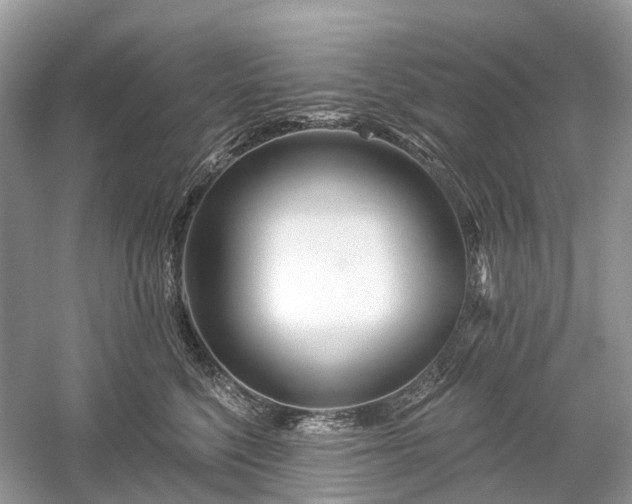 X0000059840568200510241440