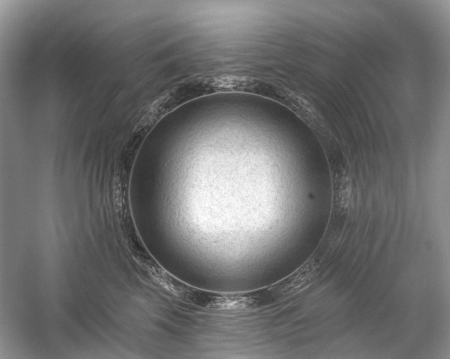 X0000059840569200510241440